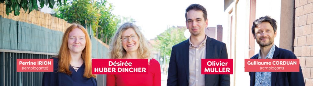 Canton de Hoenheim - Élections départementales